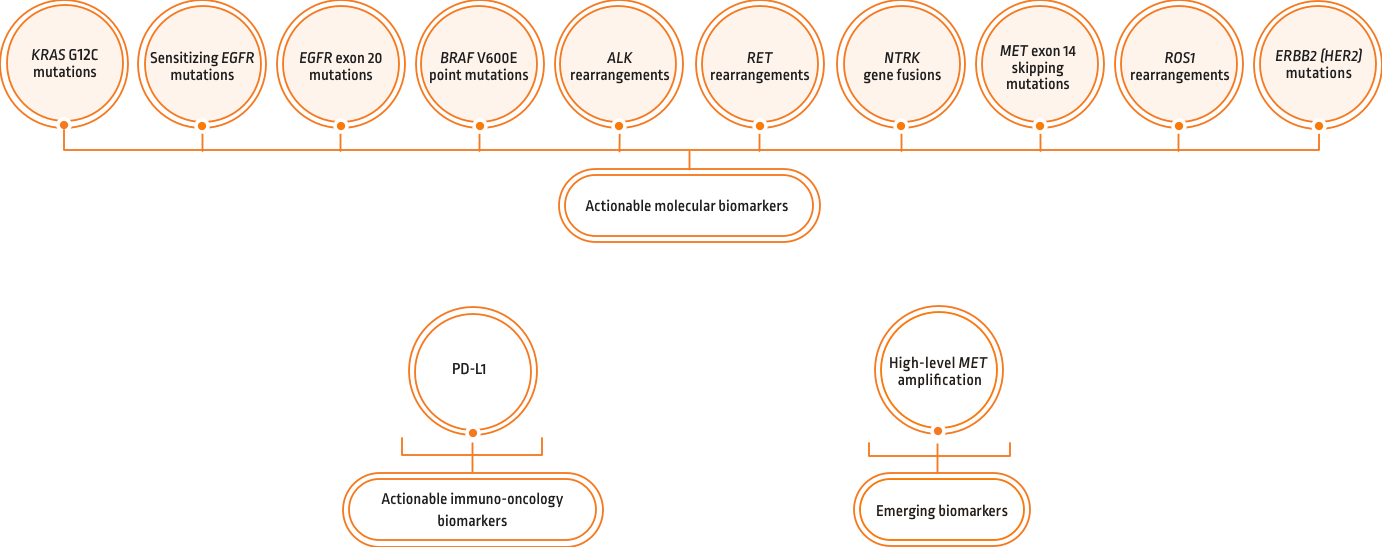 NSCLC treatments and targeted therapies